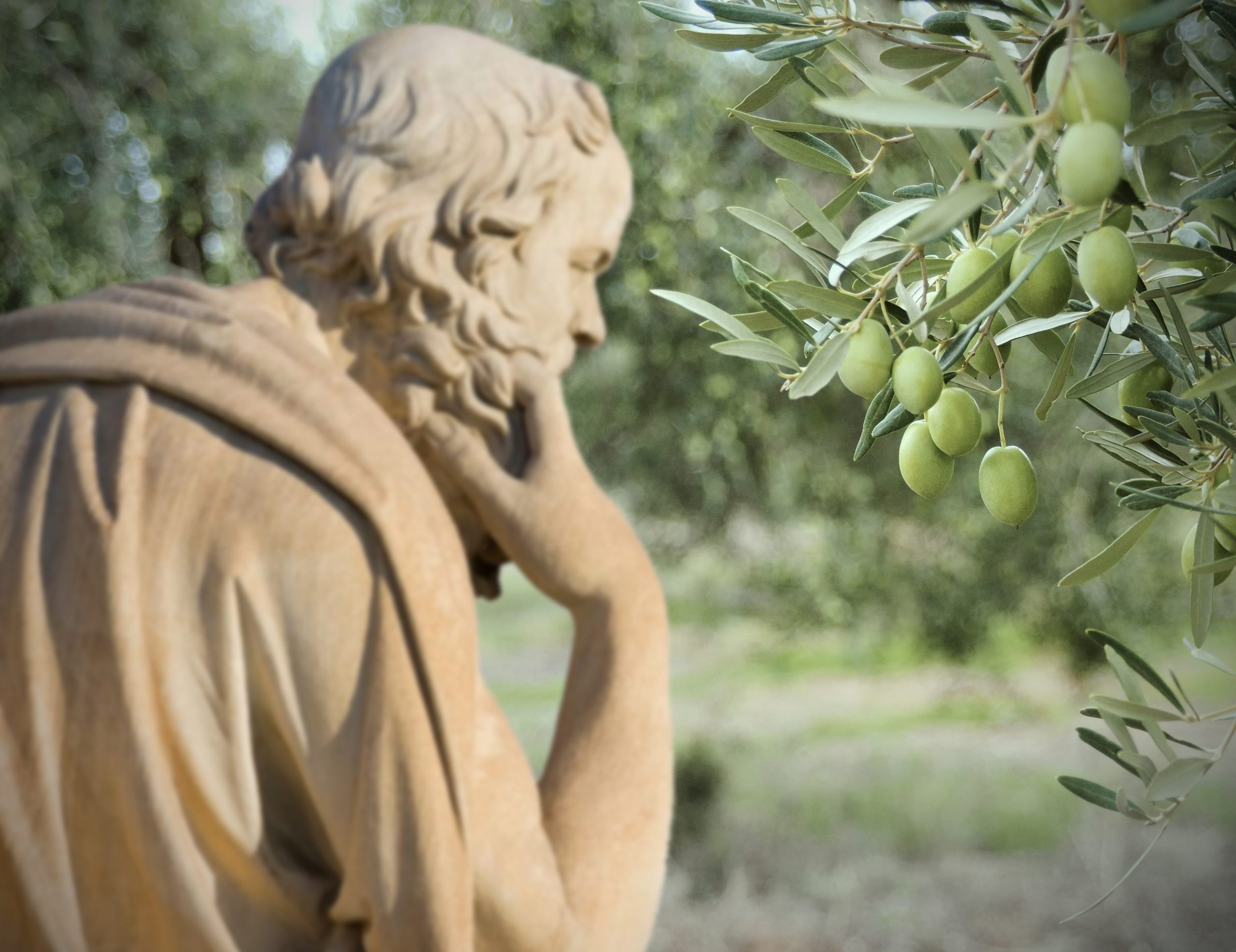 The Garden of Epicurus, simulation among the olive trees